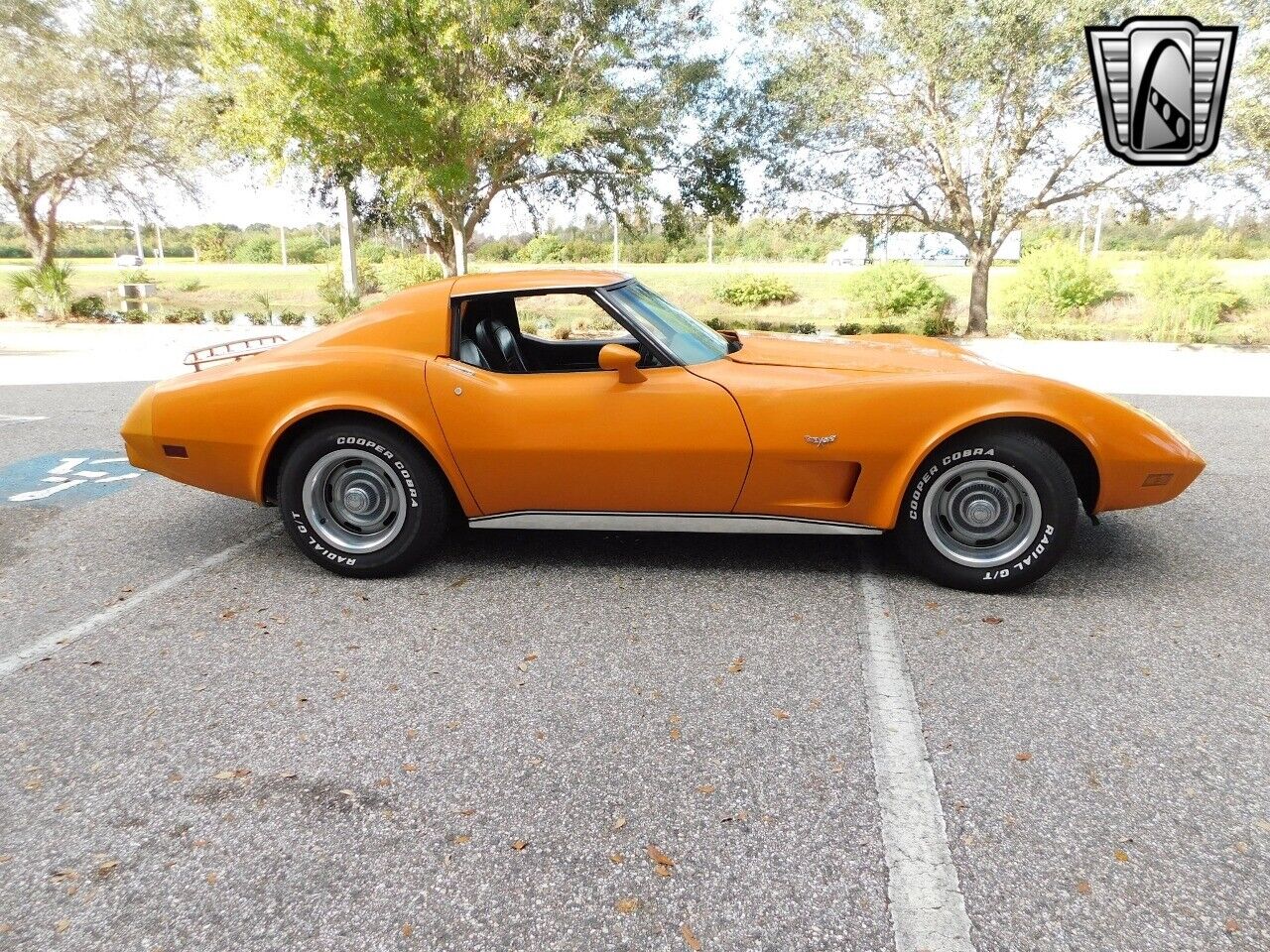 Chevrolet-Corvette-1977-4