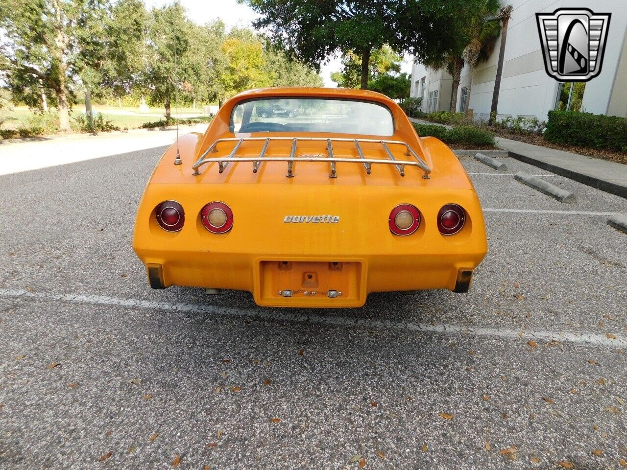 Chevrolet-Corvette-1977-5