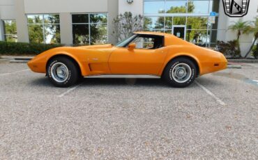 Chevrolet-Corvette-1977-6