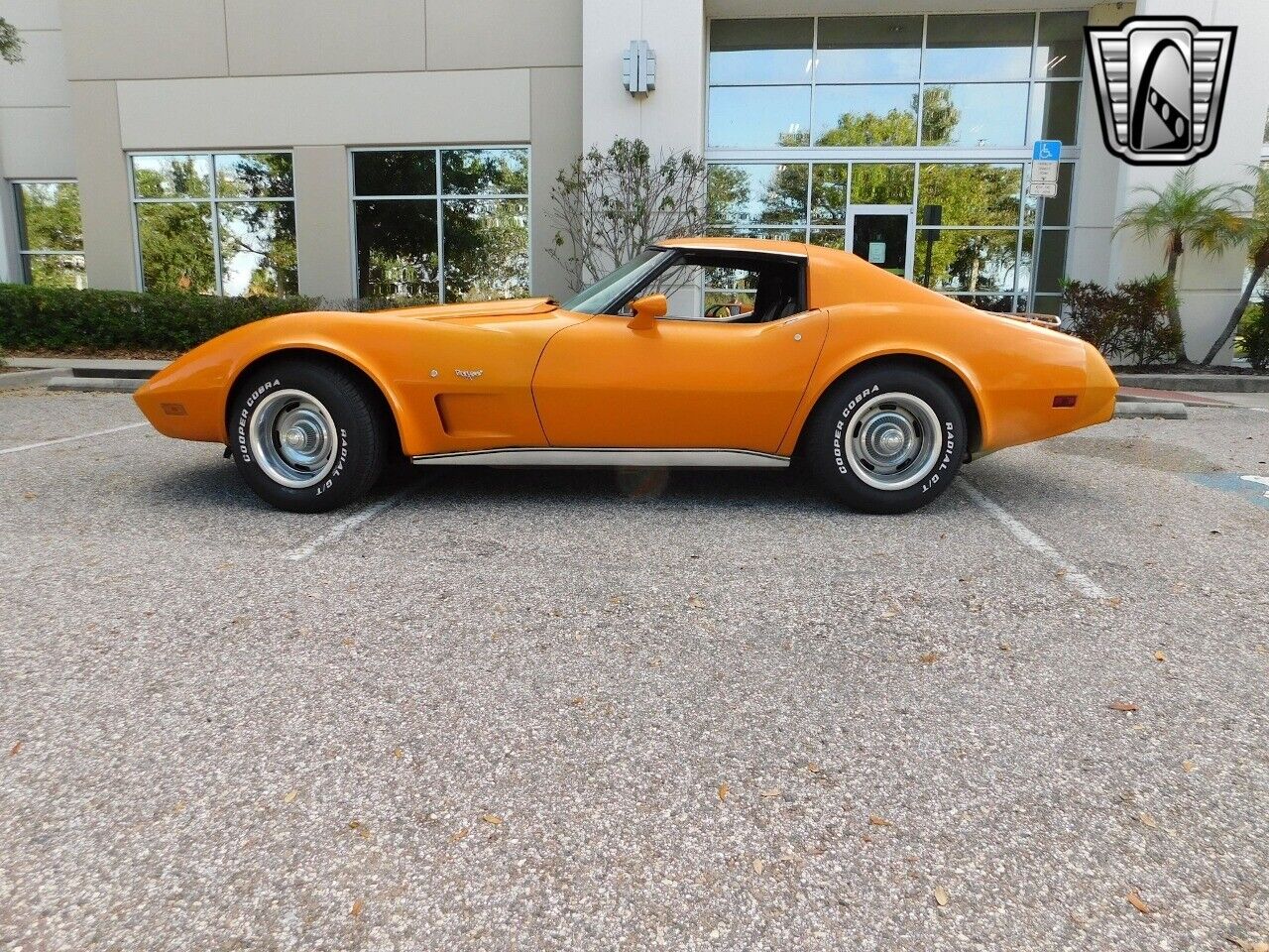 Chevrolet-Corvette-1977-6