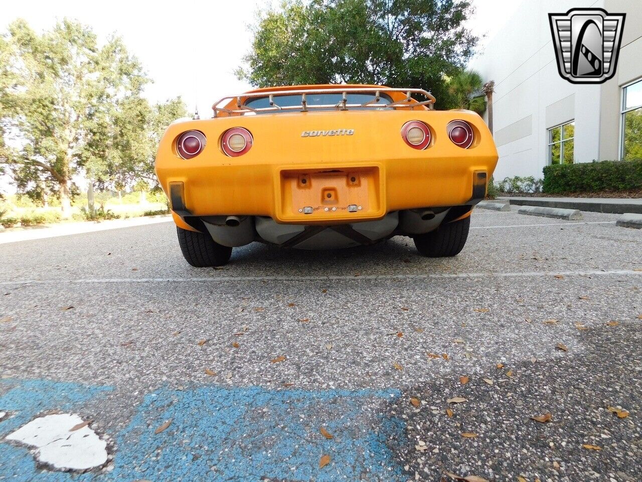 Chevrolet-Corvette-1977-8