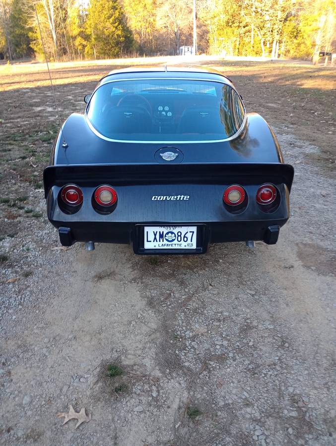 Chevrolet-Corvette-1978-17