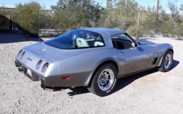 Chevrolet-Corvette-1978-5