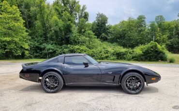 Chevrolet-Corvette-1978-6