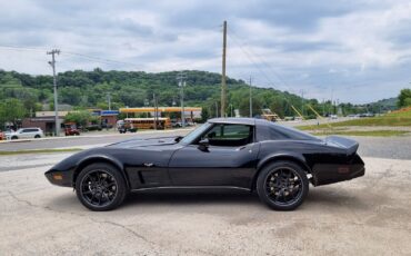 Chevrolet-Corvette-1978-7