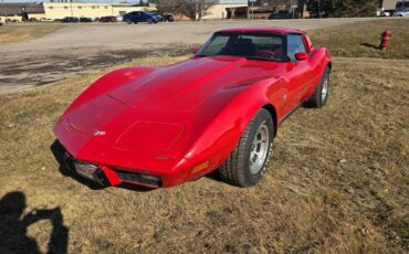 Chevrolet-Corvette-1979-11