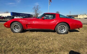 Chevrolet-Corvette-1979-14