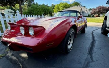 Chevrolet-Corvette-1979-3