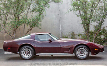 Chevrolet-Corvette-1979-9