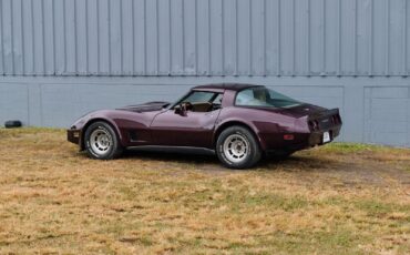 Chevrolet-Corvette-1980-10