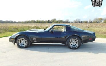 Chevrolet-Corvette-1980-3