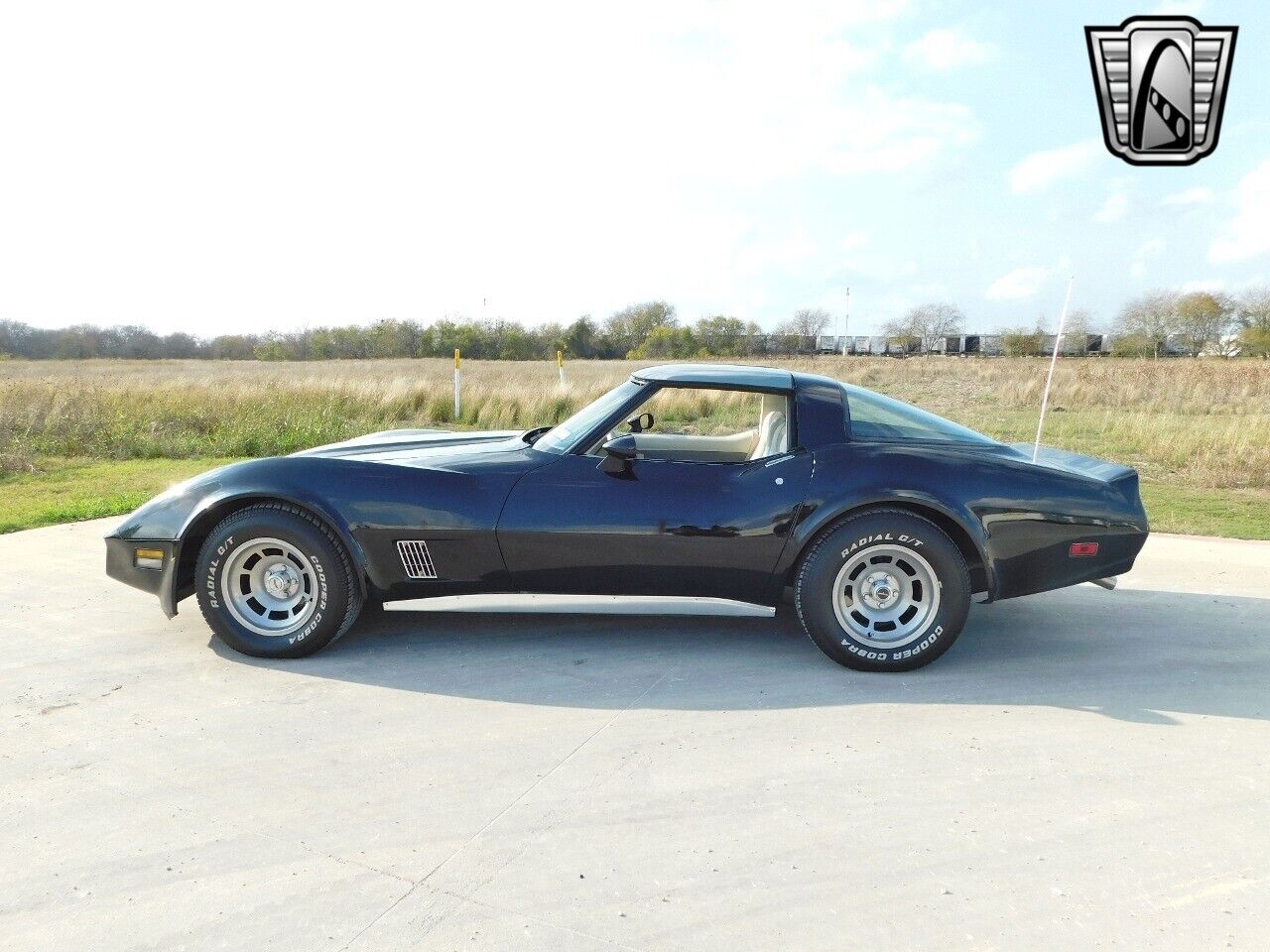 Chevrolet-Corvette-1980-3