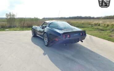 Chevrolet-Corvette-1980-4