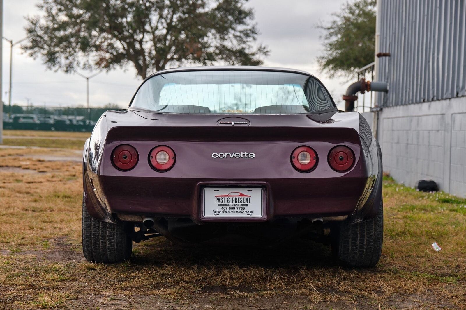 Chevrolet-Corvette-1980-4