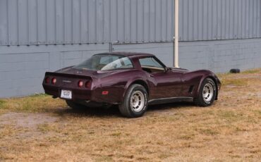 Chevrolet-Corvette-1980-5