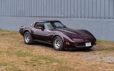 Chevrolet-Corvette-1980-8