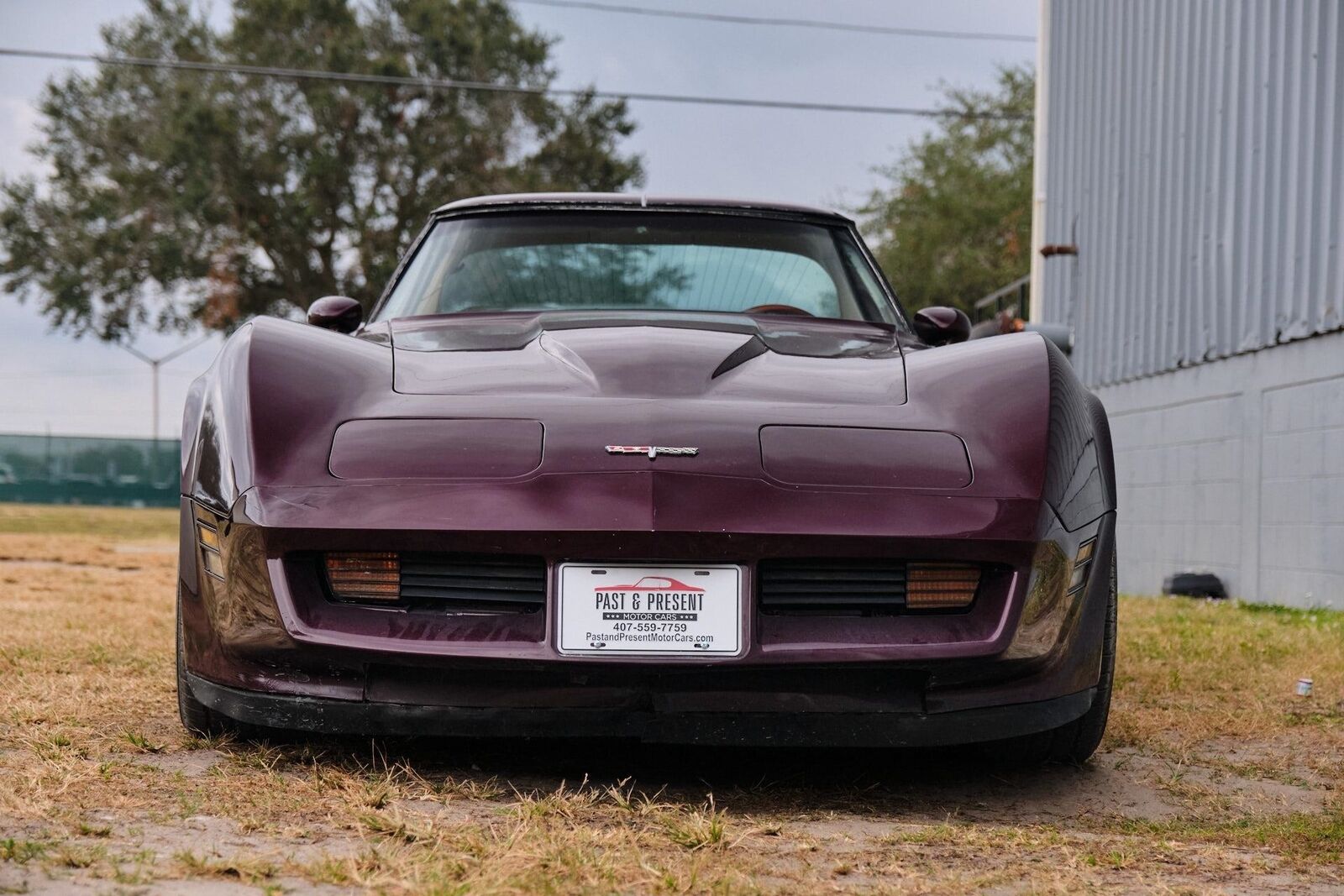 Chevrolet-Corvette-1980-9