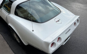 Chevrolet-Corvette-1981-10