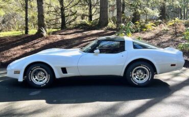 Chevrolet-Corvette-1981-11