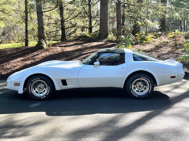 Chevrolet-Corvette-1981-11