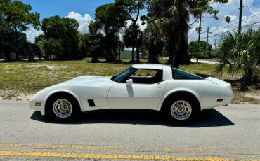 Chevrolet-Corvette-1981-2