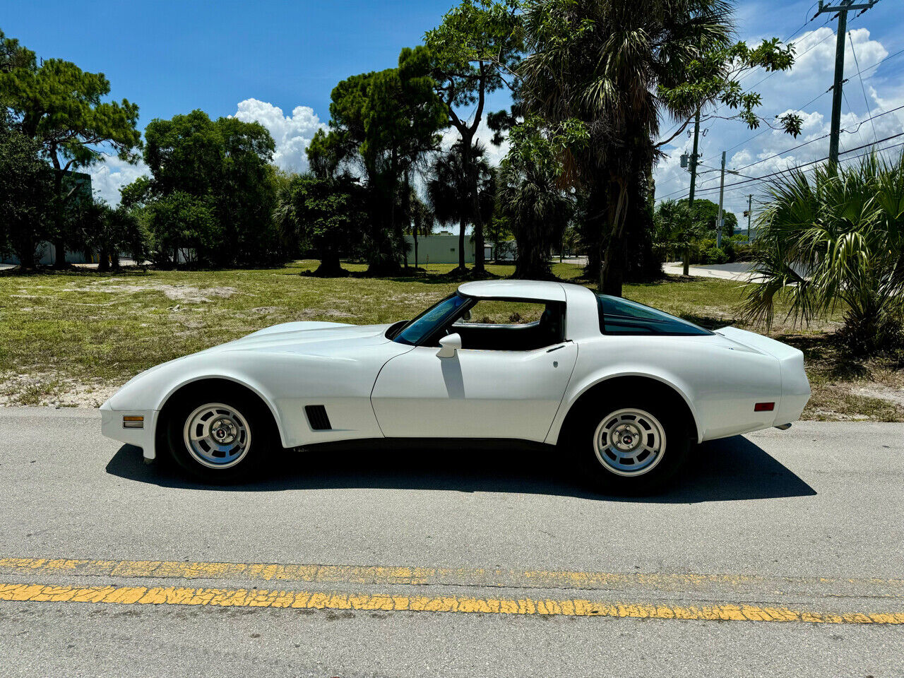 Chevrolet-Corvette-1981-2