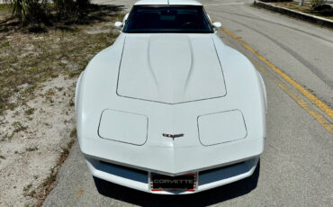 Chevrolet-Corvette-1981-27