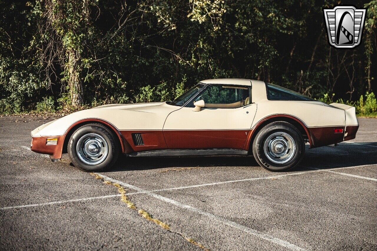 Chevrolet-Corvette-1981-3