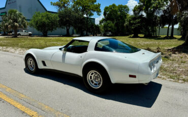 Chevrolet-Corvette-1981-3