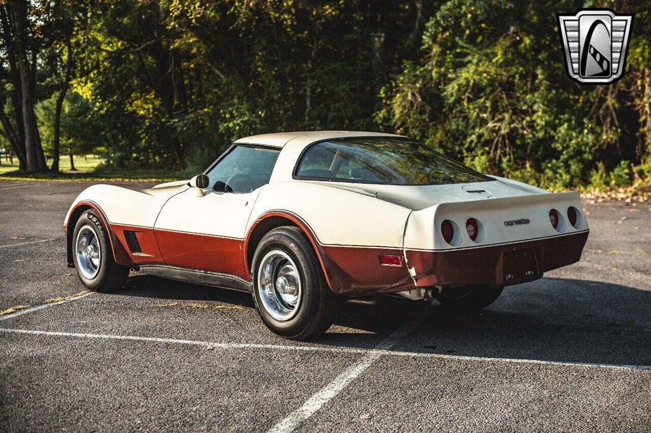 Chevrolet-Corvette-1981-4