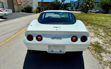 Chevrolet-Corvette-1981-4