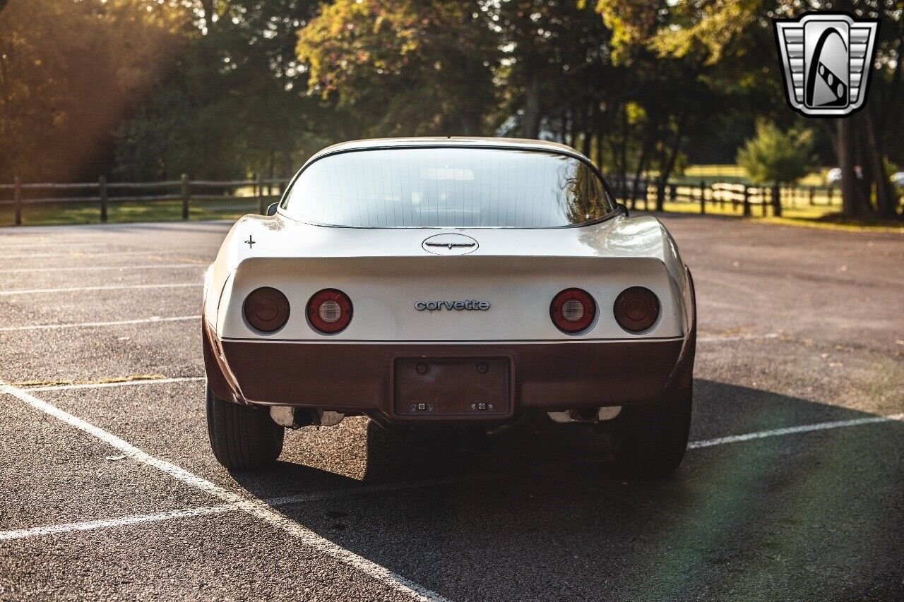 Chevrolet-Corvette-1981-5