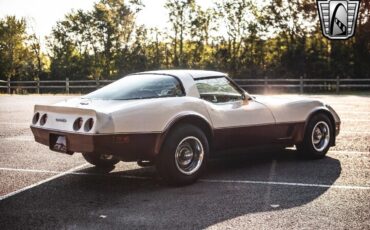 Chevrolet-Corvette-1981-6