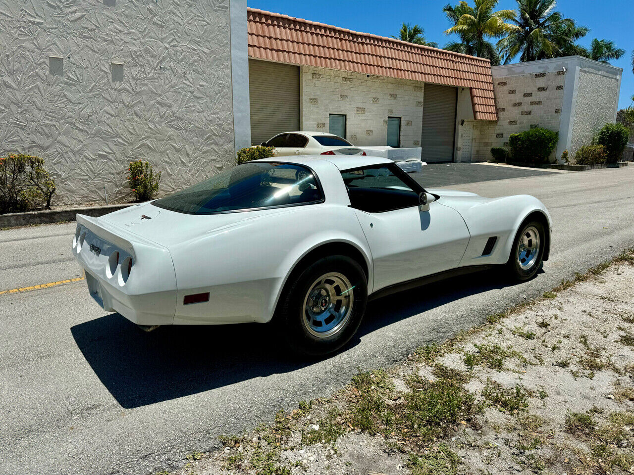 Chevrolet-Corvette-1981-6