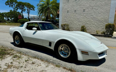 Chevrolet-Corvette-1981-7