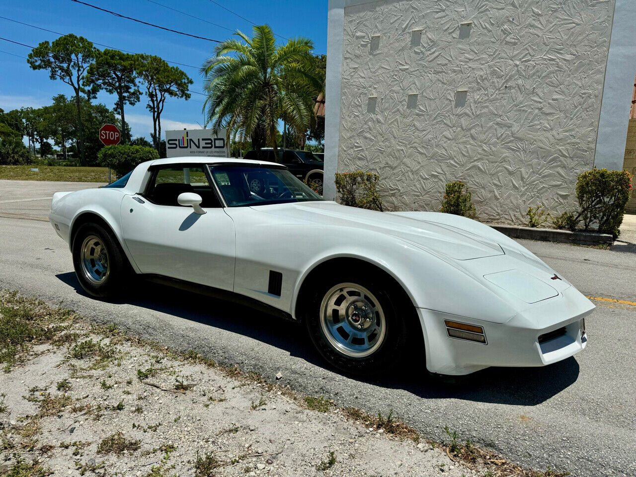 Chevrolet-Corvette-1981-7