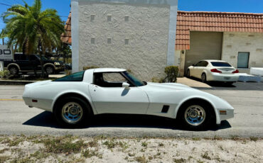 Chevrolet-Corvette-1981-8