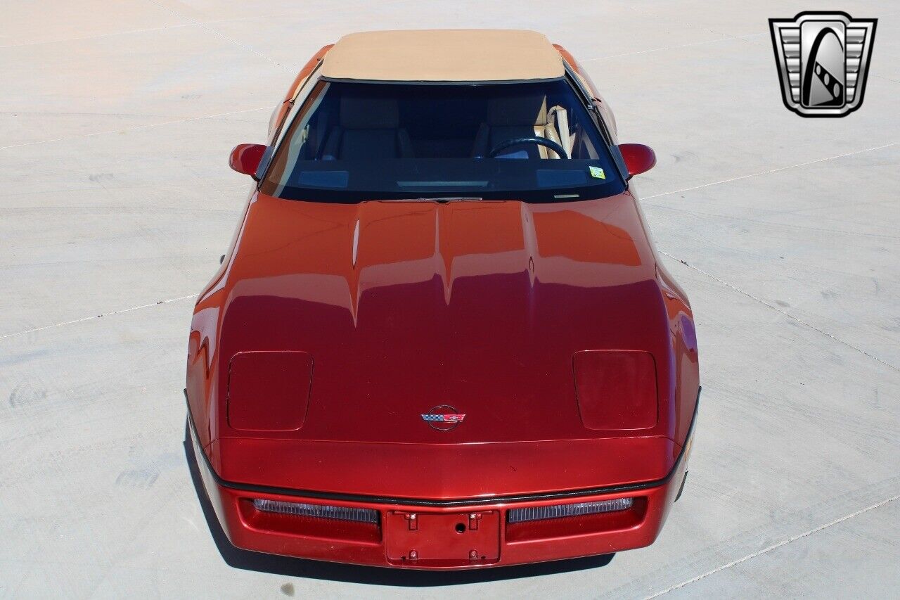 Chevrolet-Corvette-1986-5