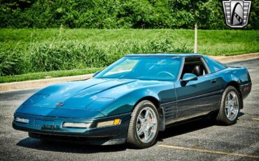 Chevrolet-Corvette-1991-11