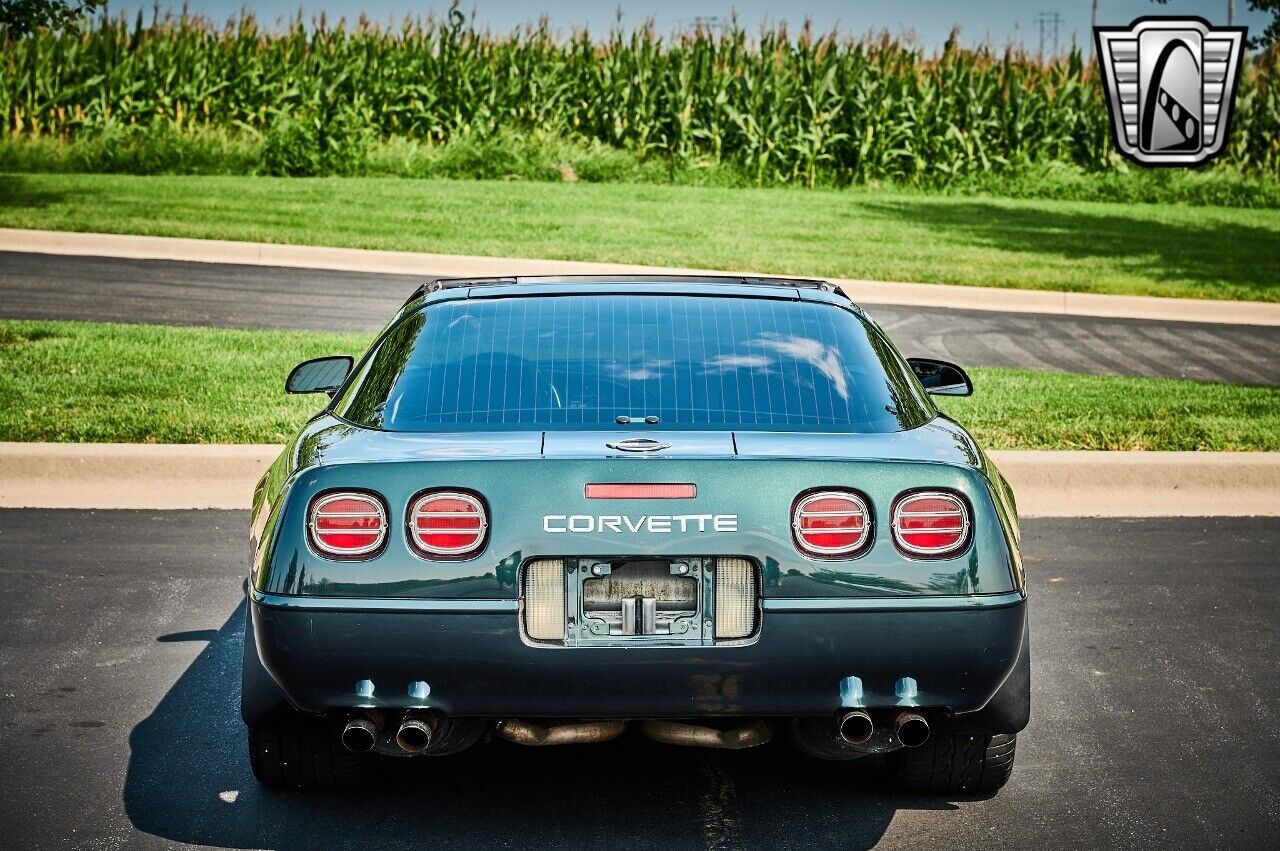 Chevrolet-Corvette-1991-5