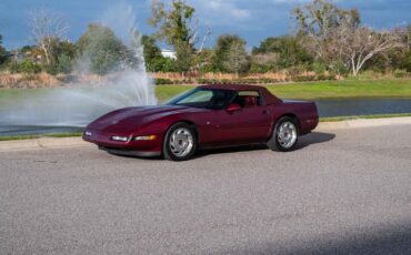 Chevrolet-Corvette-1993-30