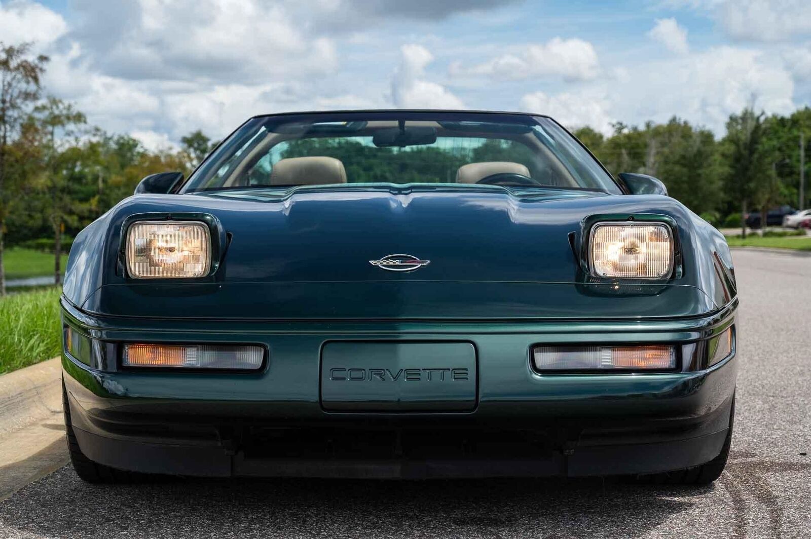 Chevrolet-Corvette-1993-33