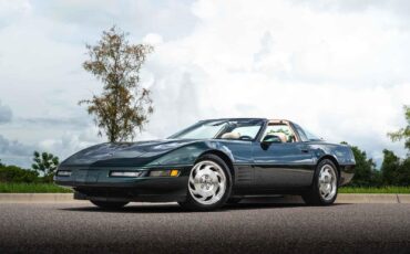 Chevrolet-Corvette-1993-35