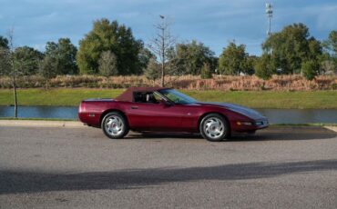 Chevrolet-Corvette-1993-35