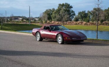 Chevrolet-Corvette-1993-36