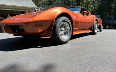 Chevrolet-Corvette-Cabriolet-1977-7