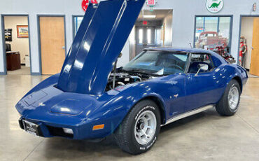 Chevrolet-Corvette-Cabriolet-1977-8