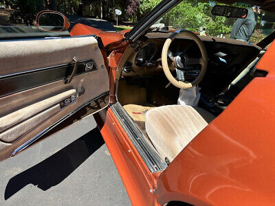 Chevrolet-Corvette-Cabriolet-1977-9