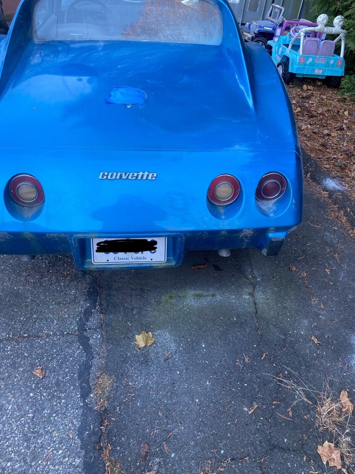 Chevrolet-Corvette-Coupe-1976-6