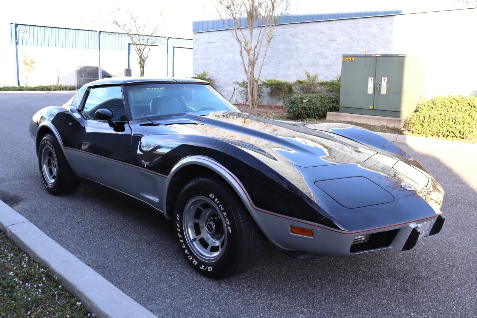 Chevrolet-Corvette-Coupe-1978-4